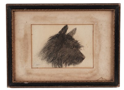 Lot 63 - George Sherwood Hunter - Portrait of Boo Boo the terrier | charcoal