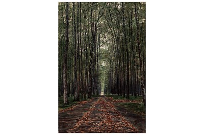 Lot 11 - George Sherwood Hunter - A woodland path | oil