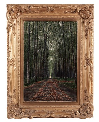 Lot 11 - George Sherwood Hunter - A woodland path | oil