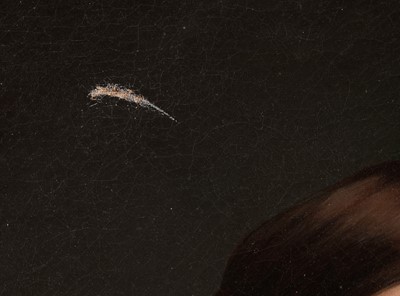 Lot 26 - British 19th Century school - Portrait of a lady | oil