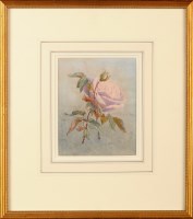 Lot 110 - C*** P*** (Early 20th Century) STUDY OF A ROSE...