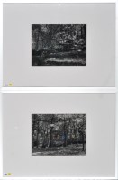 Lot 1305 - Clare Fisher ''Two Chances'' and ''How Many Is...